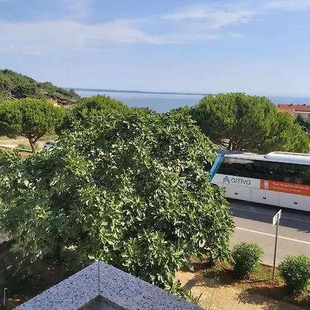 Adriatic 木洛希尼